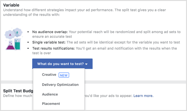 Choose a variable to split test.