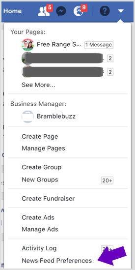 Facebook news feed preferences