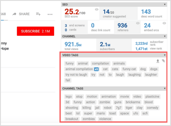 VidIQ shows SEO video and channel tags.