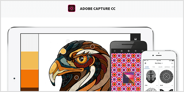 Adobe Capture creates a palette from an image you capture with a mobile device. The website shows an illustration of a bird and a palette created from the illustration, which includes light gray, yellow, orange, and reddish brown.