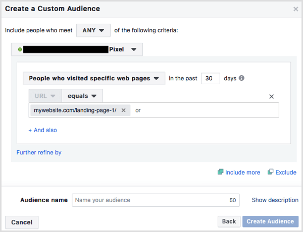 custom audience people who visited landing page