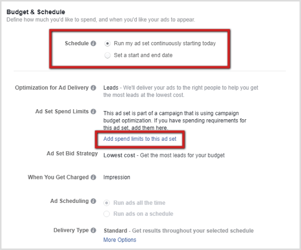 Customize budget and delivery at the ad set level.