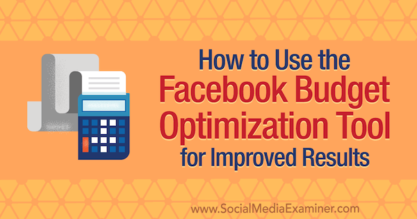 Verwendung des Facebook-Tools zur Budgetoptimierung für verbesserte Ergebnisse von Meg Brunson im Social Media Examiner.