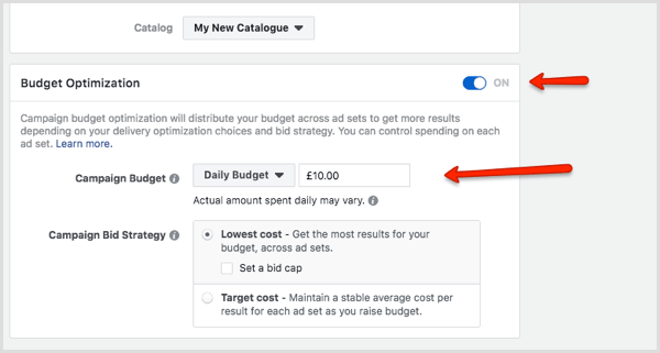 Budget Optimization section in Facebook Ads Manager