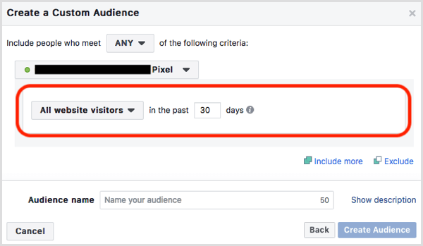 Facebook website custom audience default