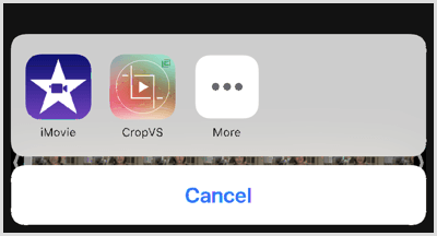 Tap the CropVS icon to open the app’s tools.