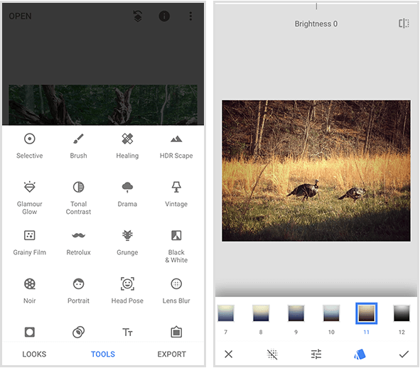 A Snapseed menu on the left shows 20 different tools, and a Snapseed filter example on the right shows a photo of two wild turkeys walking in golden grass and a menu of filters on the bottom of a mobile screen.