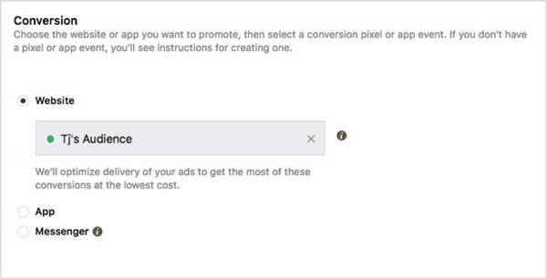 Select a Facebook pixel in the Conversion section.