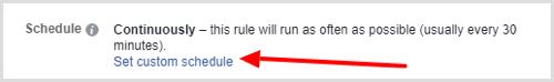 Set custom schedule option for Facebook automated rule