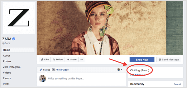 example of Facebook business page showing category