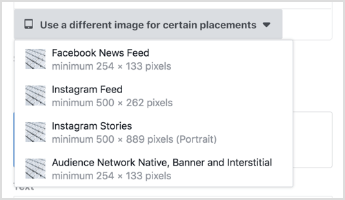 Facebook placement asset customization tool