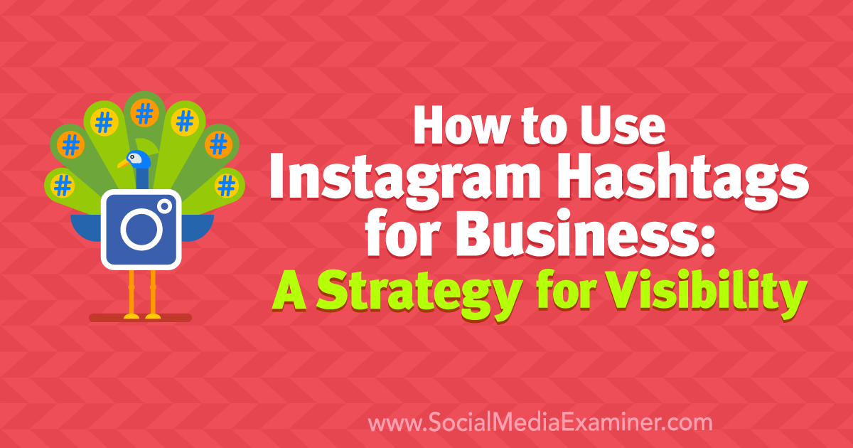 petticoat Knop Gluren How to Use Instagram Hashtags for Business: A Strategy for Visibility :  Social Media Examiner