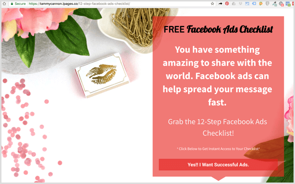 landing page for Facebook campaign