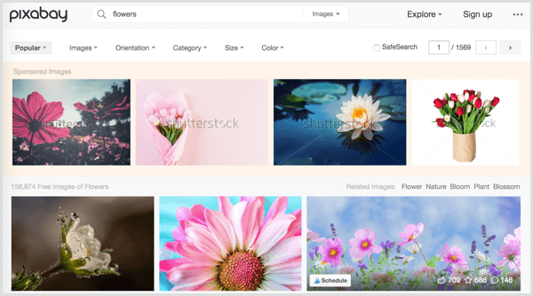 Pixabay search results