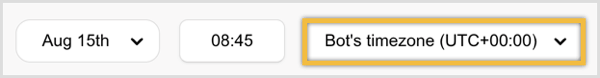 Set the date and time and select the bot's time zone.