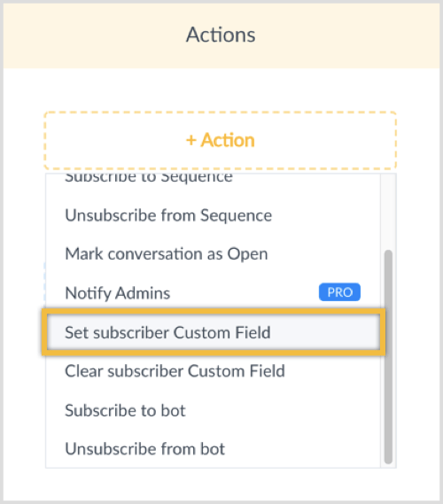 Click on the +Action button and select Set Subscriber Custom Field.