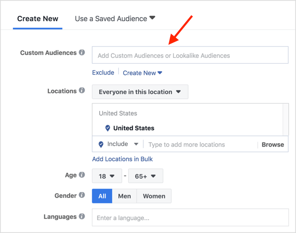 In the Custom Audiences field, type in the name of your website visitor custom audience.