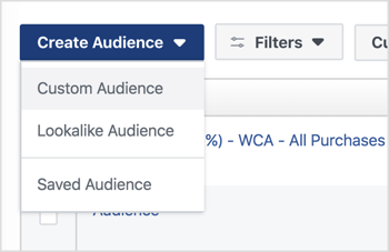 Click Create Audience and select Custom Audience from the drop-down menu.