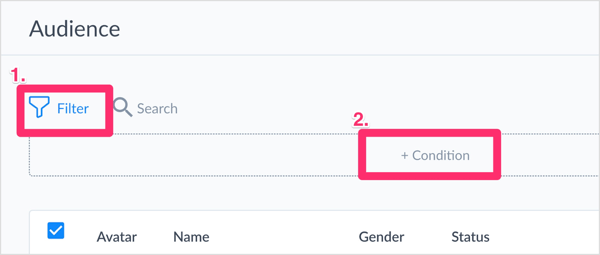 If you have a large subscriber list and want to segment it before exporting, click the Filter icon and then click + Condition.