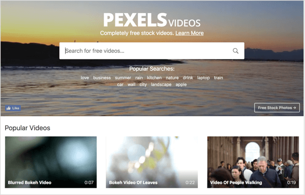 Pexels offers free stock video you can use in your LinkedIn video ads.