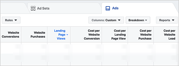 On the Ads tab, the columns are set to Custom, and the report shows several conversion metrics: Website Conversion, Website Purchases, Landing Page Views, Cost Per Website Conversion, Cost Per Landing Page View, Cost Per Website Purchase, and Cost Per Website Lead. Ralph Burns says problems with cost per acquisition will be your first sign that an ad is having an issue in the Facebook ads algorithm auction.