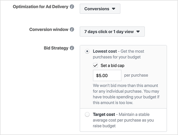 In the Optimization for Ad Delivery section of a new Facebook Ad Campaign, the Bid Strategy options show radio buttons for Lowest Cost and Target Cost. The Lowest Cost option has an additional parameter, the Set a Bid Cap checkbox. When selected, a text box appears where you can enter a cap for the amount you want to pay per conversion. In this screenshot, the bid cap is set to $5.00 per purchase. An on-screen note says “We won’t bid more than this amount for any individual purchase. You may have trouble spending your budget if this amount is set too low.” Ralph Burns says selecting the Set a Bid Cap checkbox limits the number of impressions your Facebook ads get, and it’s better to leave this box cleared.