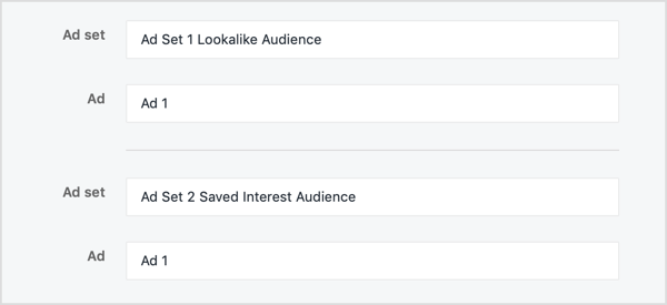 Name your ad sets according to the audiences you're testing.