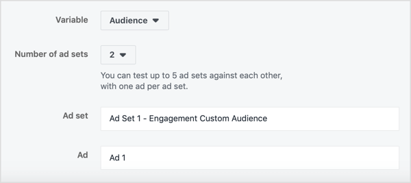 Name your two ad sets and ads based on your audiences.