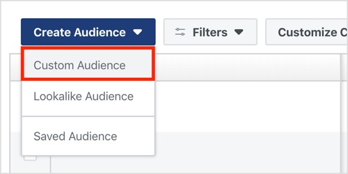 Click Create Audience and select Custom Audience from the drop-down menu.