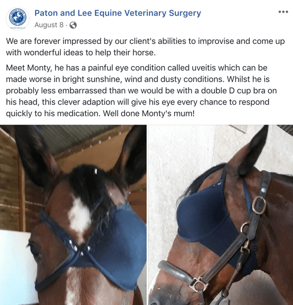 Example of Facebook post with UGC from Paton and Lee Equine Veterinary Surgery.