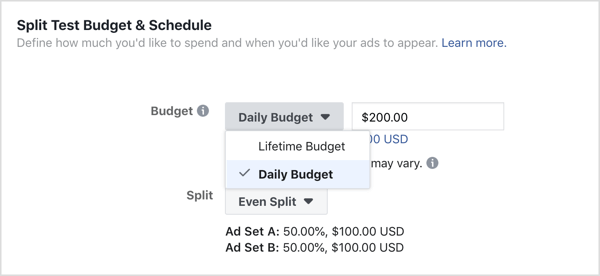 Select Daily Budget for the ad budget