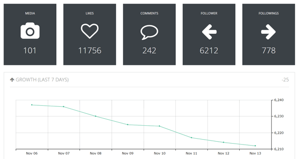 Example of the data in a Squarelovin account overview.