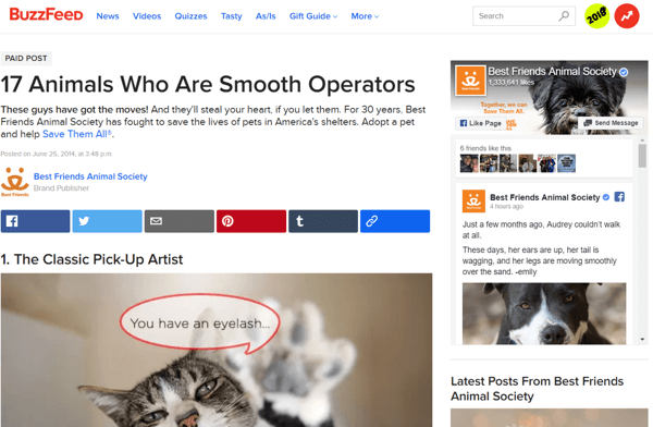 BuzzFeed partnered with the Best Friends Animal Society to promote super-cute animal content and the worthy cause of helping furry friends.
