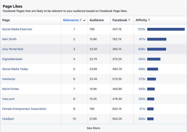 Page Likes for an interest based audience in Facebook Ads Manager.