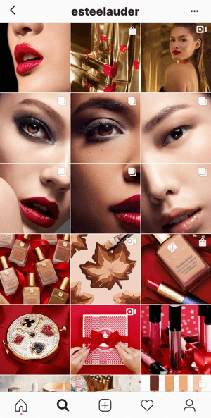 Example of the Estee Lauder Instagram feed showing several split images in their grid.