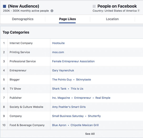 Page Likes for an interest based audience in Facebook Ads Manager.