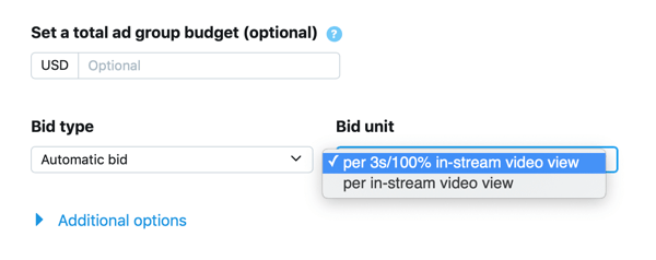 Option to set bid type and unit for your In-Stream Video Views (Pre-Roll) Twitter ad.