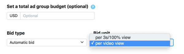 Option to set bid type and unit for your Promoted Video Views Twitter ad.