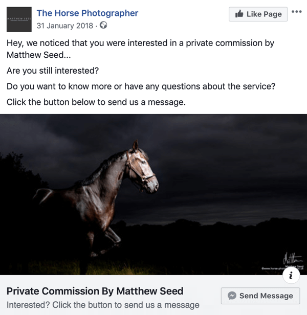 How to convert website visitors with Facebook Messenger ads, step 3, post example by The Horse Photographer