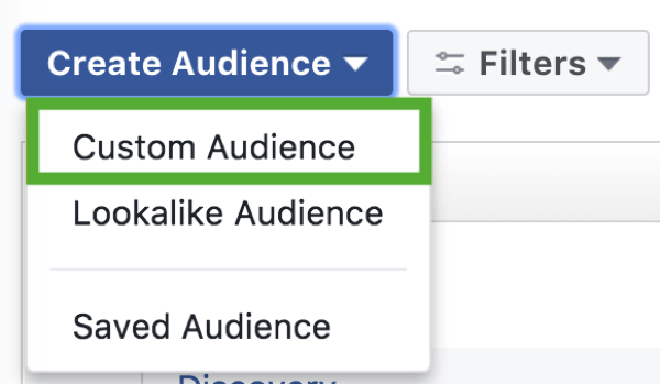 How to strategically grow your Instagram following, step 2, create custom audience menu option