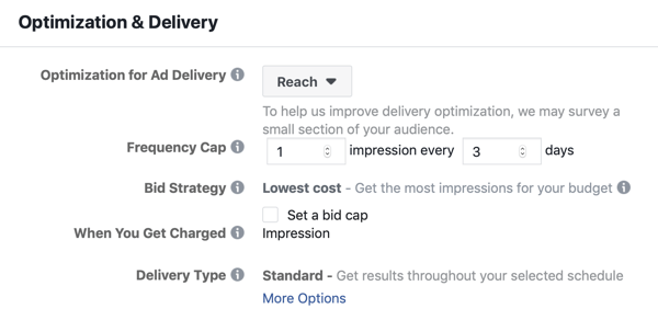 How to create Facebook reach ads, step 7, optimization and delivery ad settings