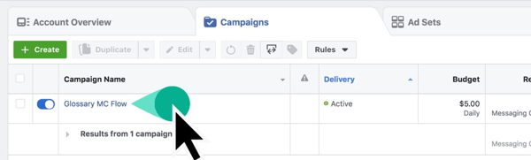 Locate your Campaign Name in Facebook Ads Manager.