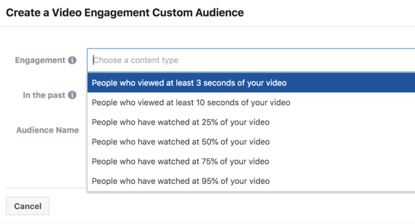 Facebook ThruPlay Optimization video ad engagement custom audience.