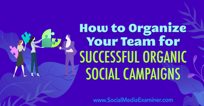 How to Organize Your Team for Successful Organic Social Campaigns by Janette Speyer on Social Media Examiner.