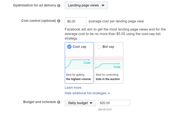 Hummingbird favor vasketøj How to Reduce Facebook Ad Costs With Manual Bidding : Social Media Examiner