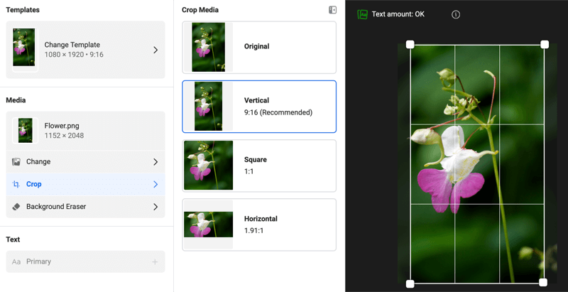 Instagram Stories ad templates dialog box showing editing options