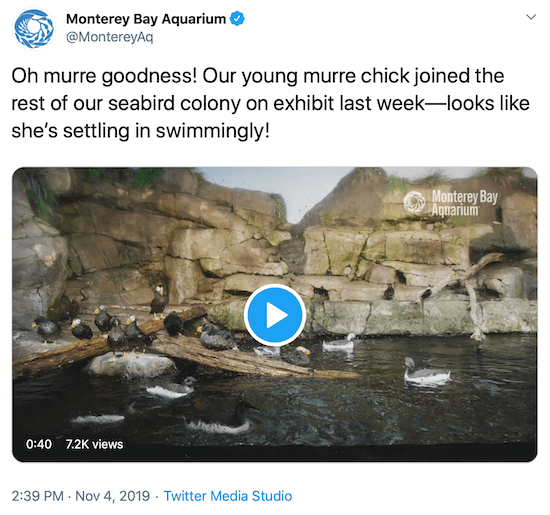 tweet from Monterey Bay Aquarium as an example of a brand's social media voice