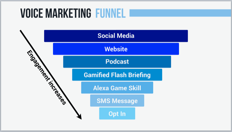 graphic showing voice marketing funnel