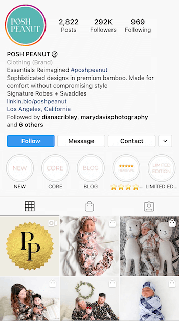 example of Instagram bio optimized for business