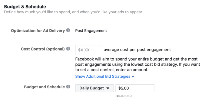 step 5 of how to set up Facebook engagement campaign to promote customer survey